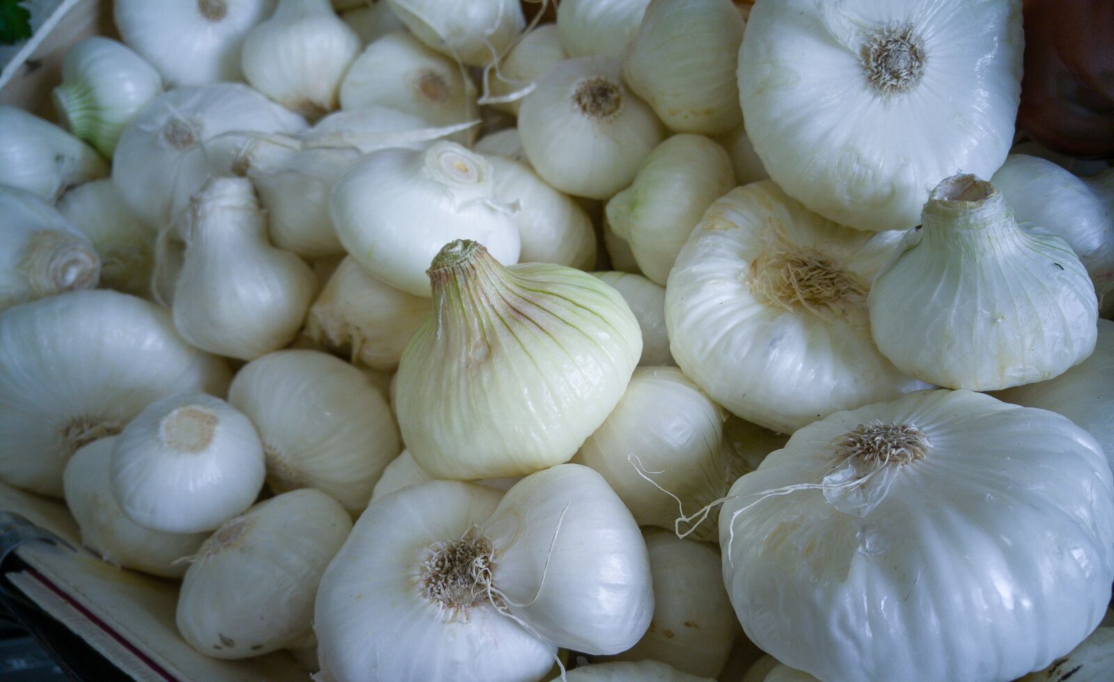LG G4 sample photo. Onions, vegetables, market photography