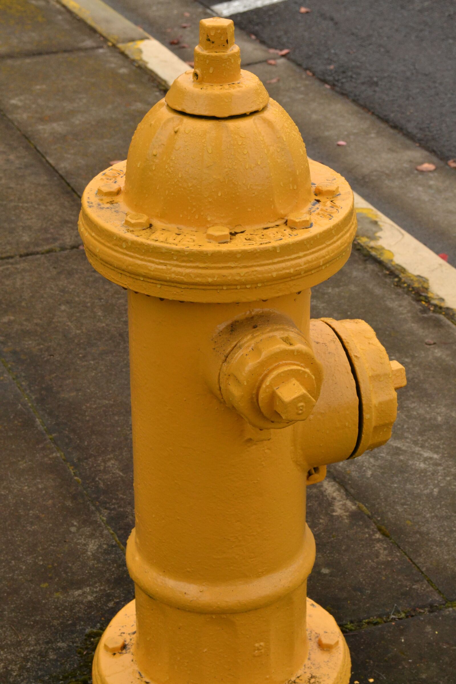 Nikon D3100 sample photo. Fire hydrant, yellow, safety photography