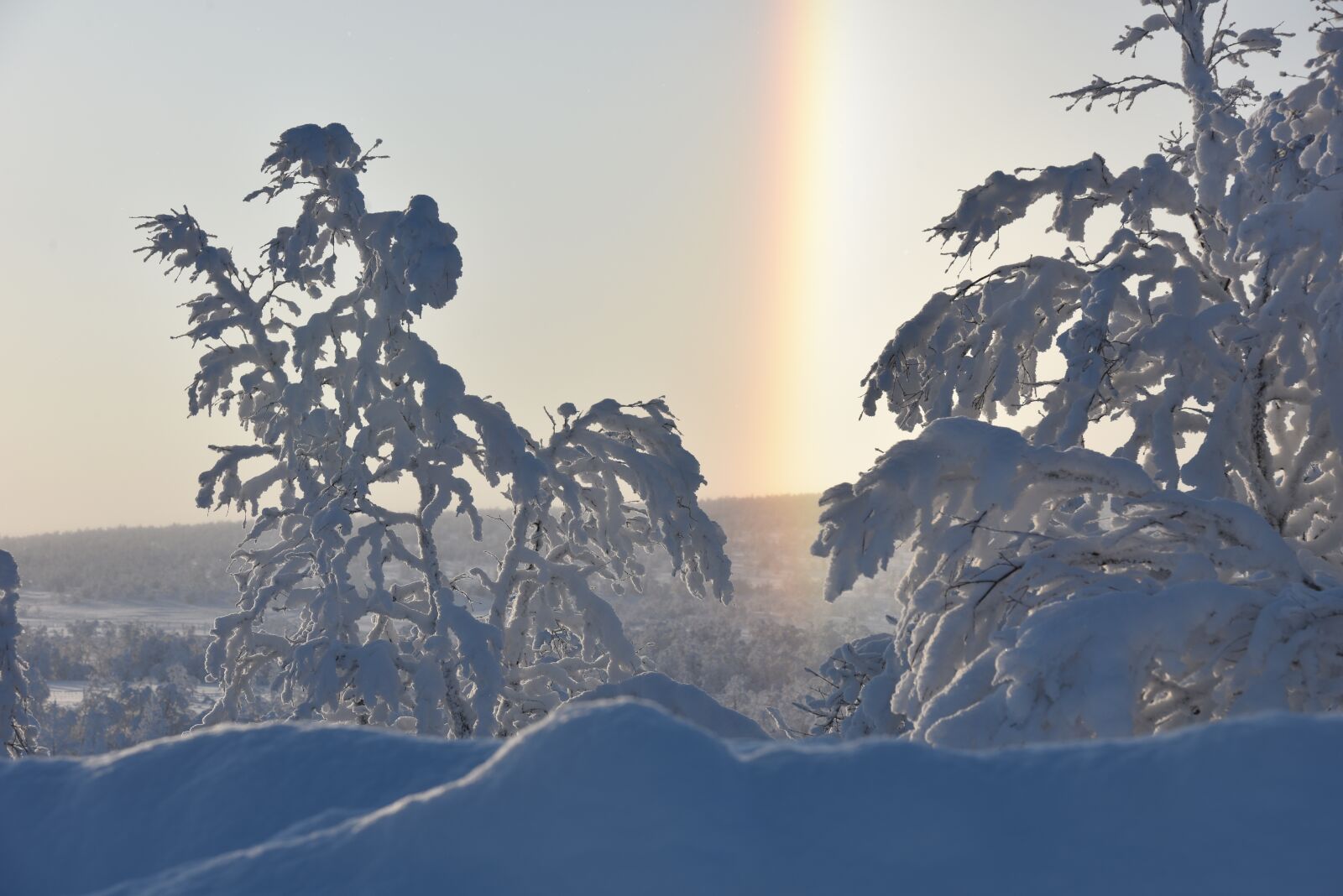 Nikon D810 sample photo. Snow, trees, wintry photography