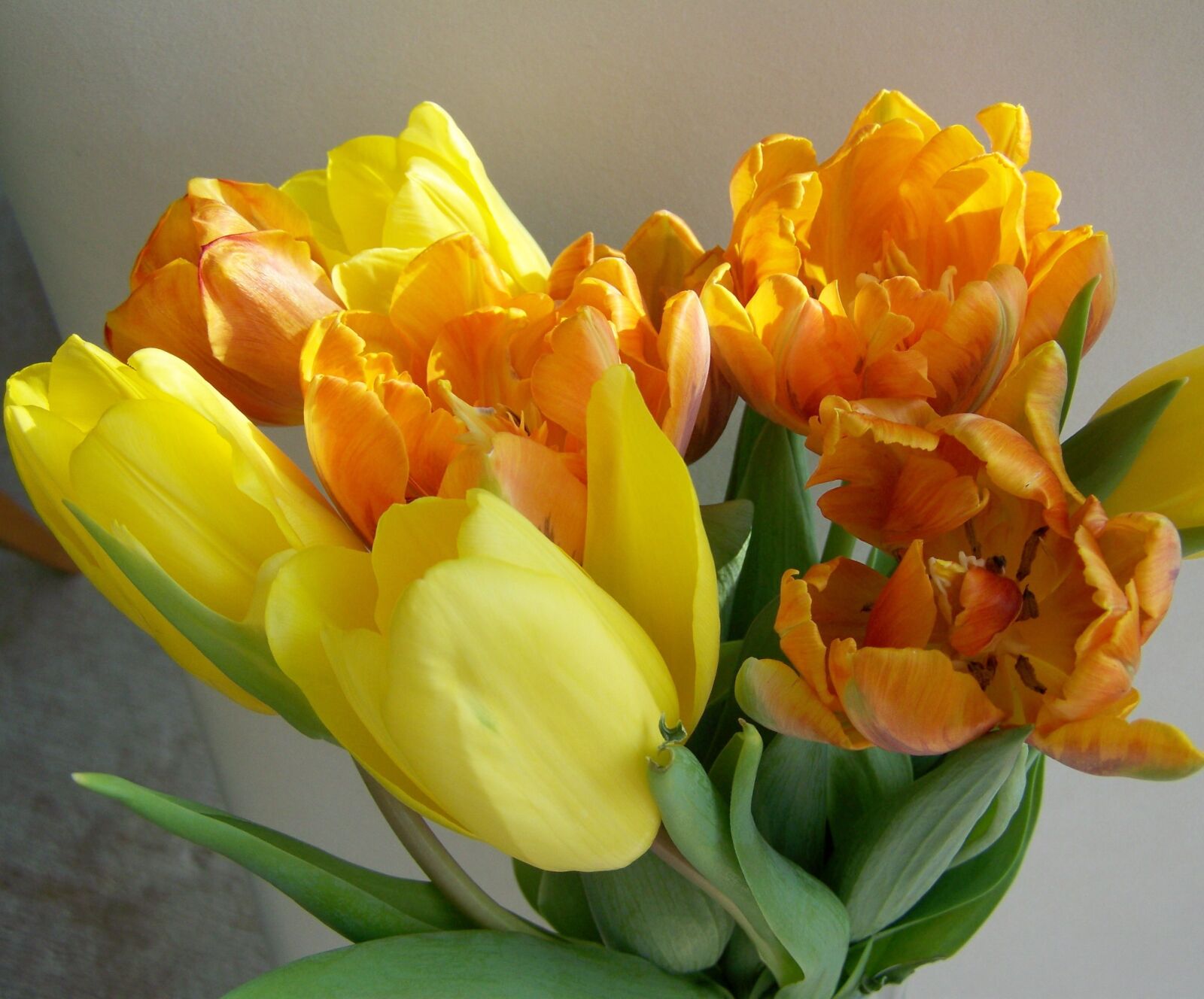 Kodak EASYSHARE ZD710 ZOOM DIGITAL CAMERA sample photo. Tulip bouquet, yellow-orange, cut photography