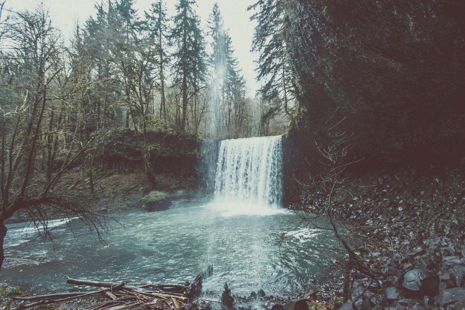Canon EOS 50D sample photo. Weather, woods, conifer tree photography