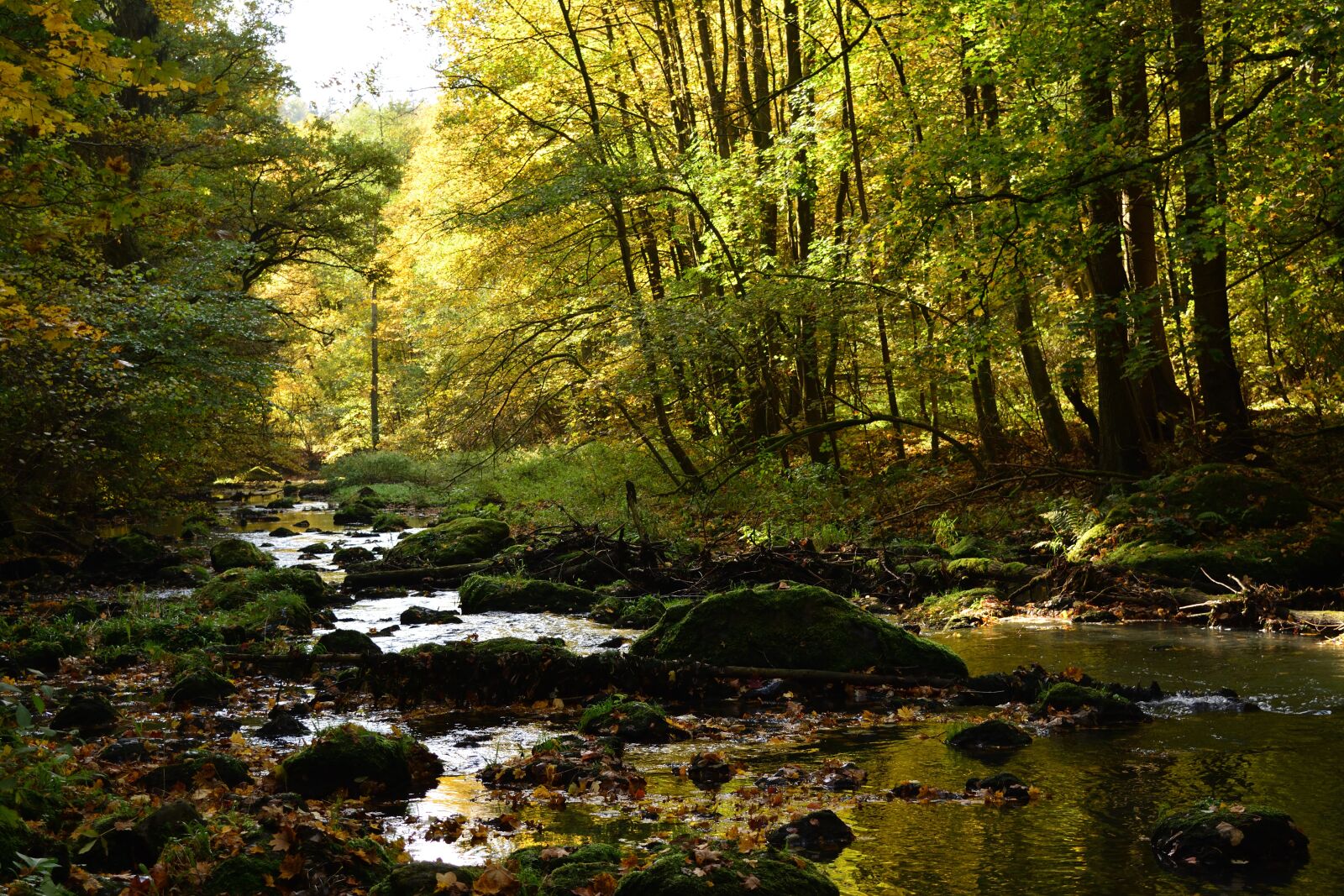 Nikon D5200 sample photo. Bach, valley, creek photography
