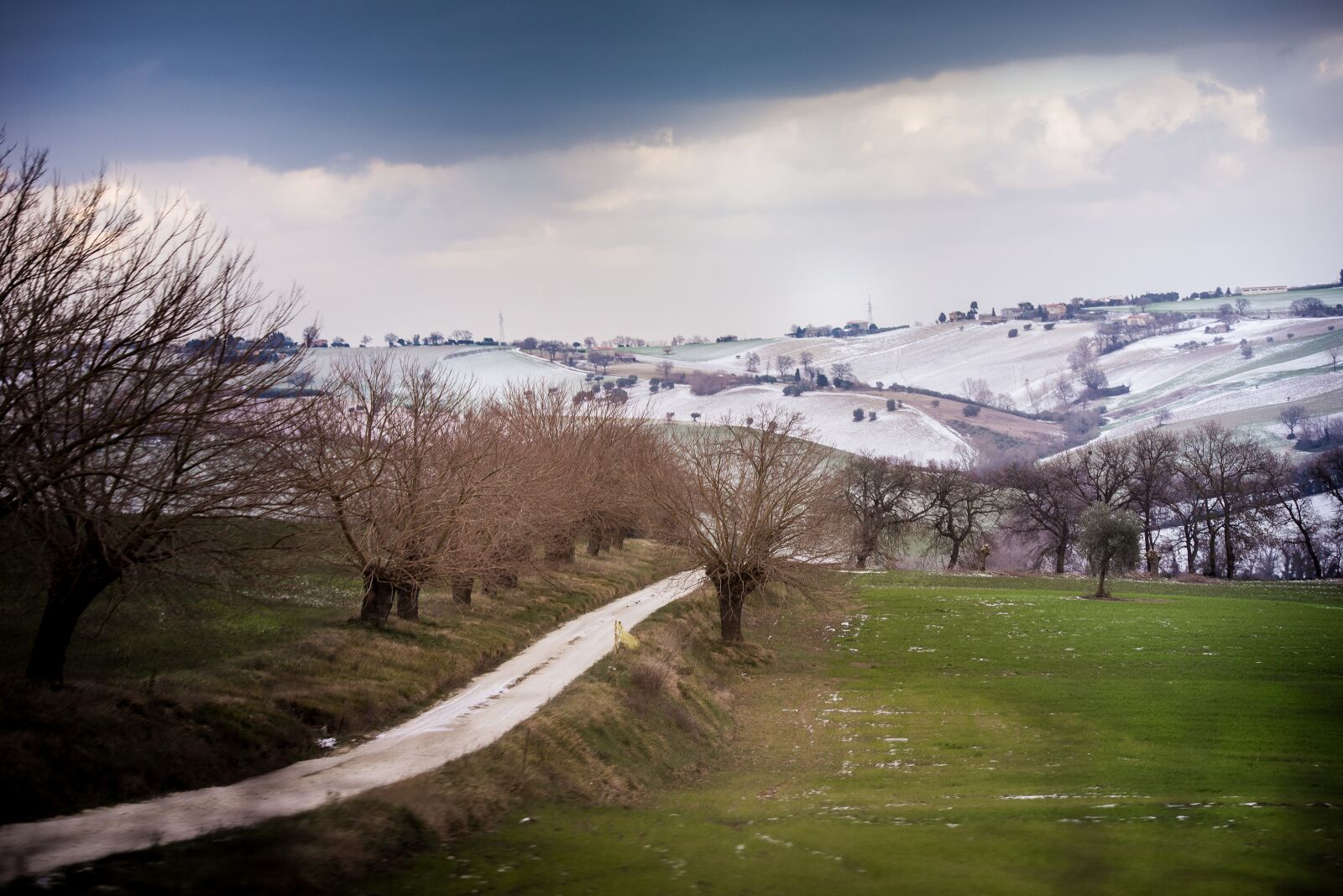 Nikon D610 sample photo. Tree, landscape, nature photography