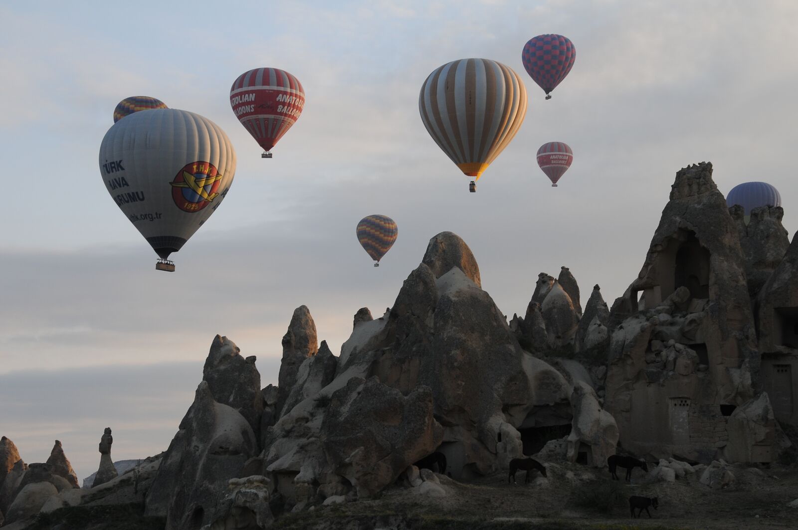 Nikon D300 sample photo. Balloon, balloons, ballooning photography
