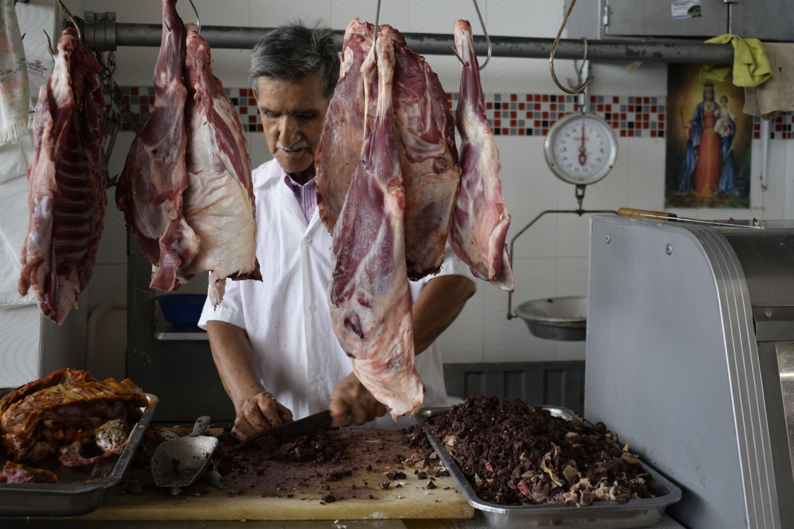 Nikon D5300 sample photo. Butcher, plaza, mr photography