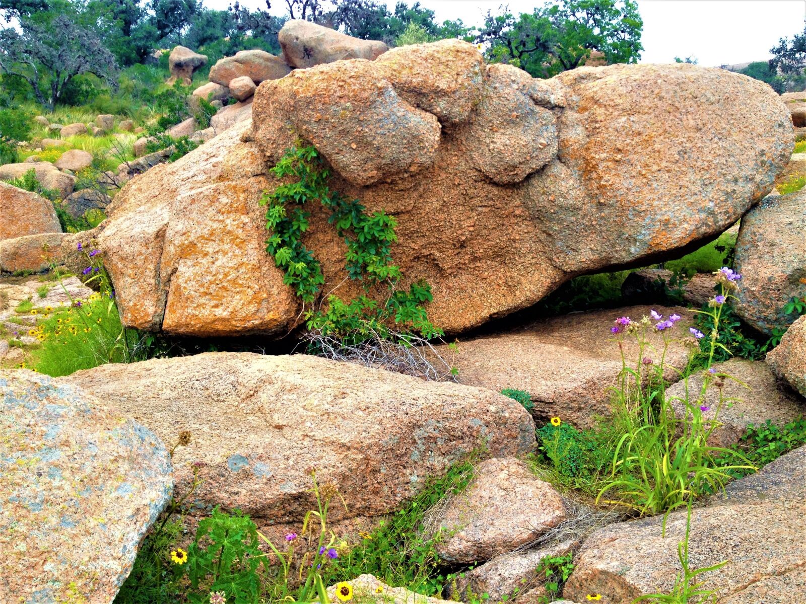 Apple iPhone 4S sample photo. Pink granite, enchanted rock photography