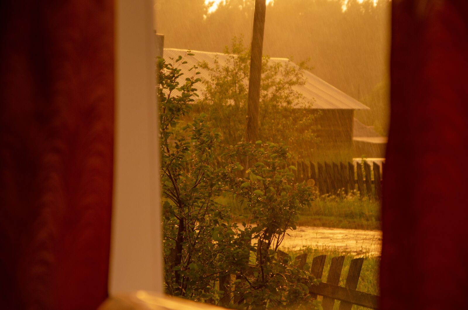 Nikon D7000 sample photo. Rain, window, light photography