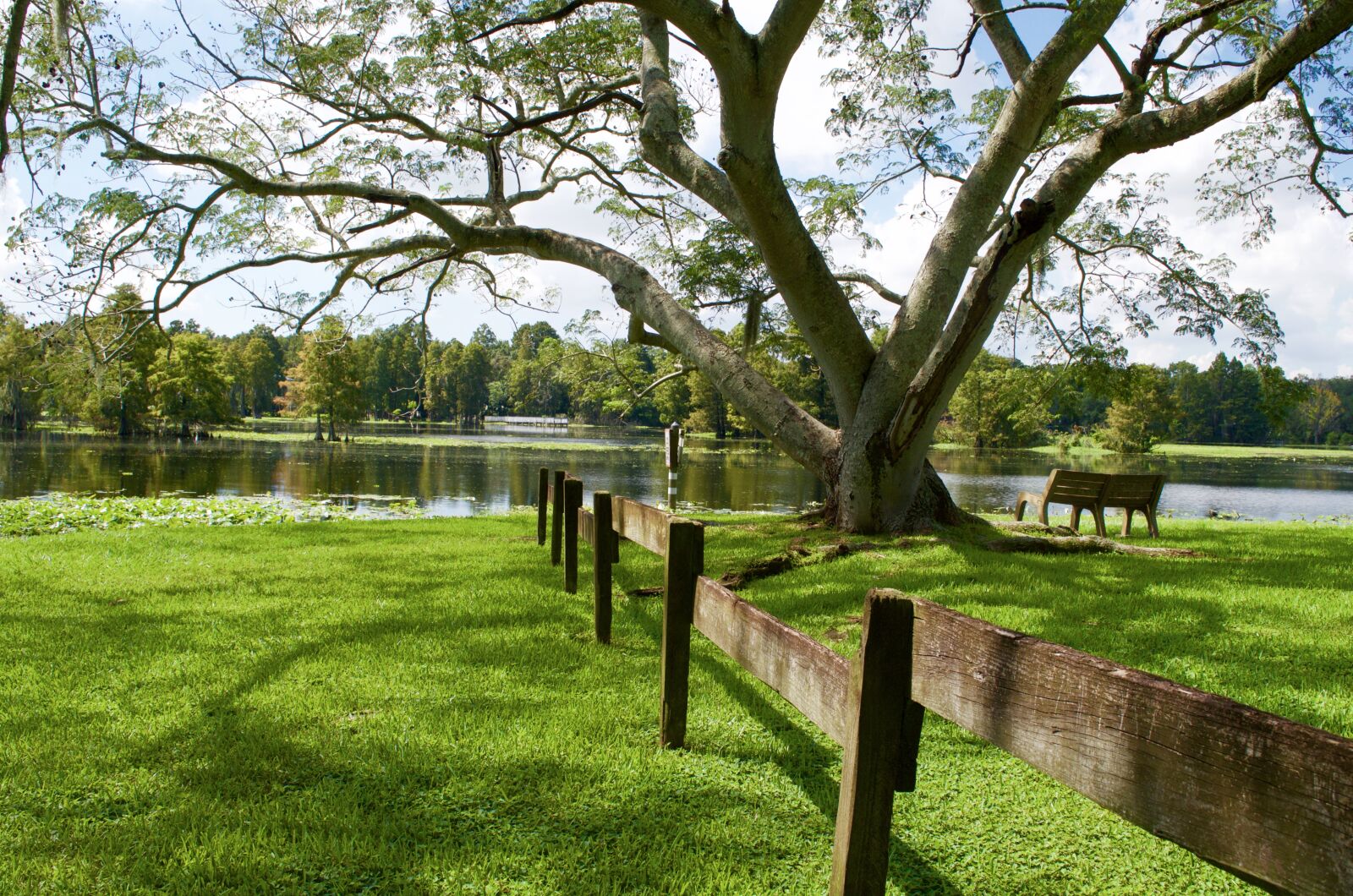 Nikon D5100 sample photo. Riverhills, park photography