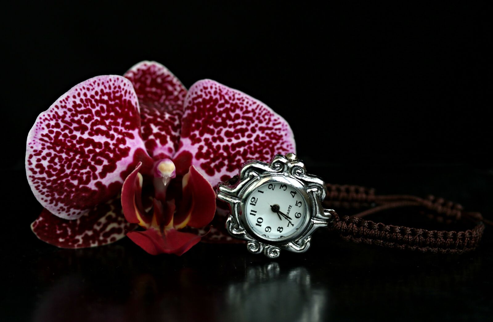 Canon EF-S 60mm F2.8 Macro USM sample photo. Orchid, watch, gem photography
