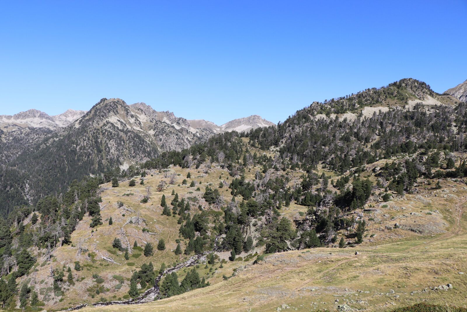 Canon EF-S 18-135mm F3.5-5.6 IS USM sample photo. Pyrenees, mountain, fir photography