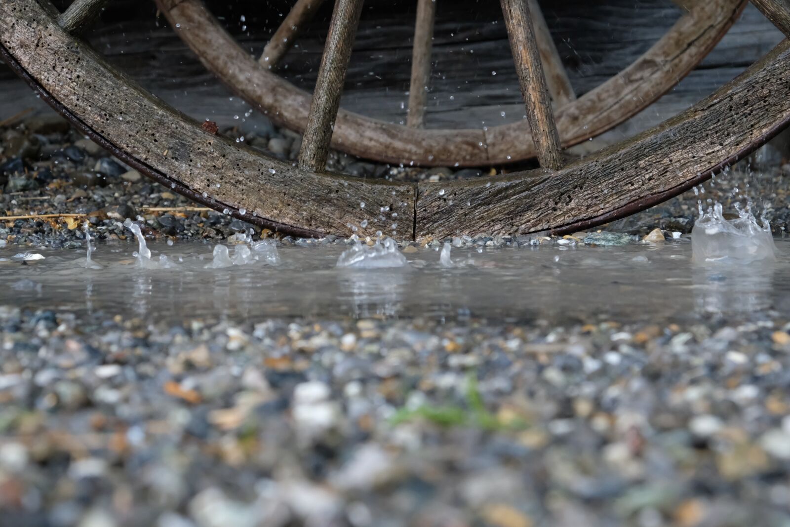 Fujifilm X-T20 sample photo. Rain, nature, water photography