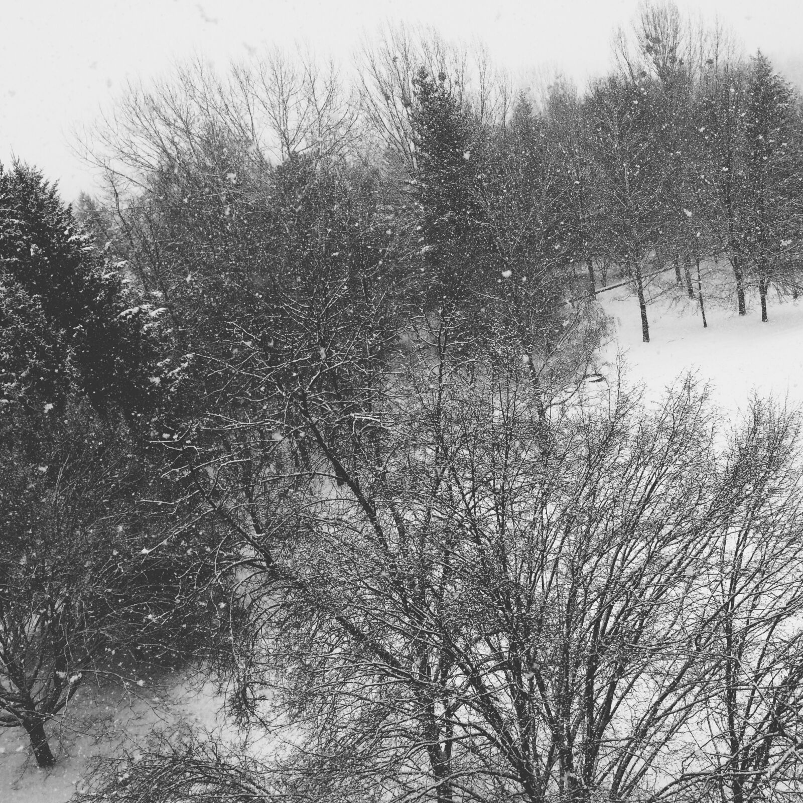 iPhone 5s back camera 4.15mm f/2.2 sample photo. Black, and, white, cold photography