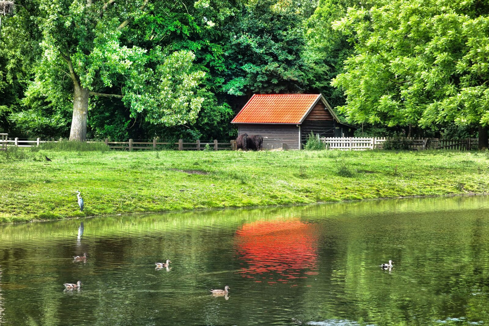 Sony Cyber-shot DSC-RX100 sample photo. Building, barn, shed photography