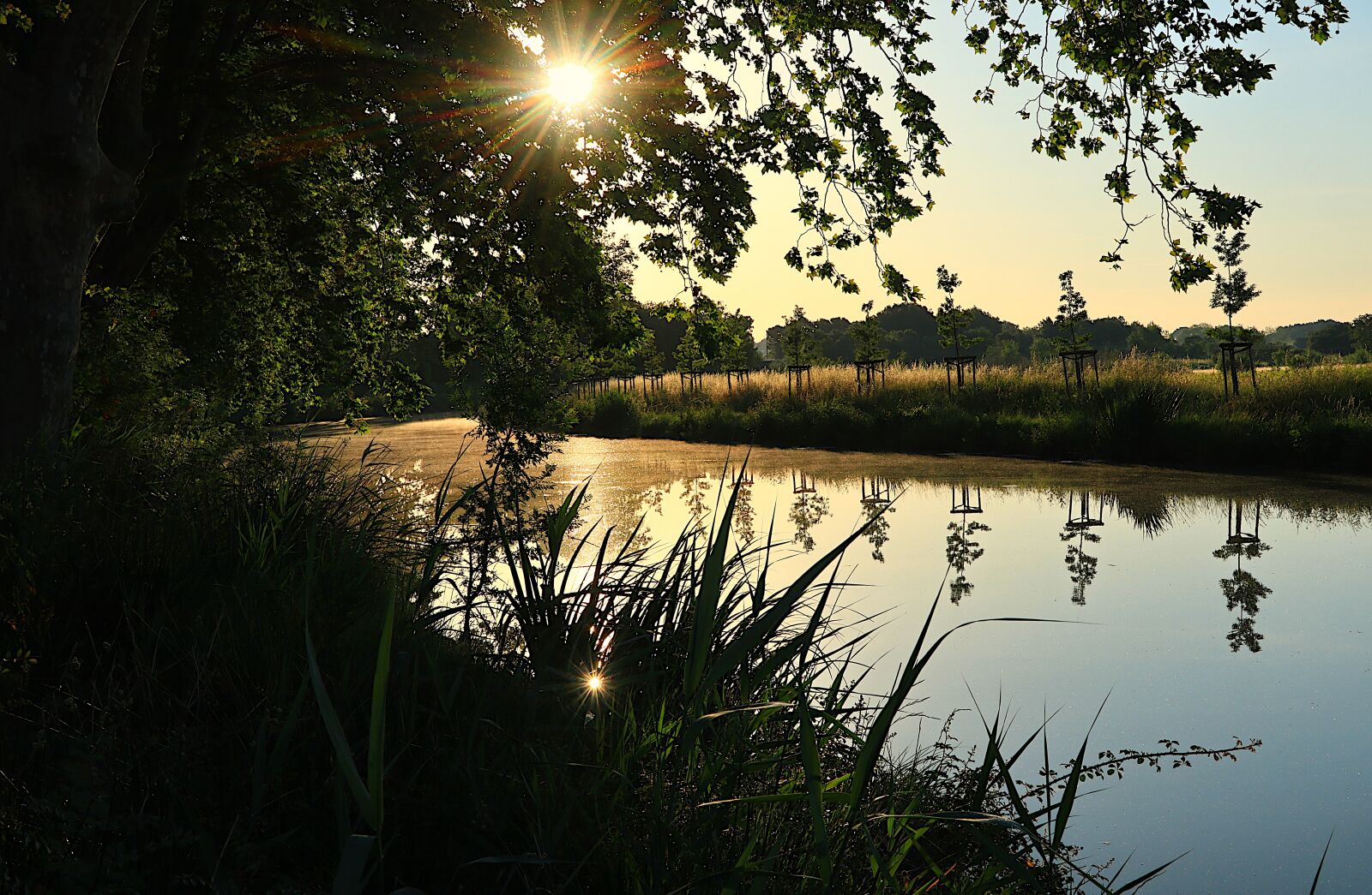 Canon PowerShot G1 X Mark III sample photo. Sunrise, morning, canal du photography