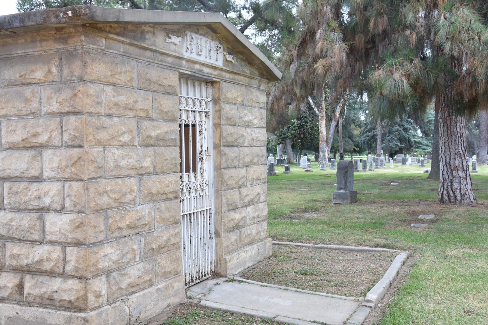 Nikon D3400 sample photo. Door, metal, crypt photography