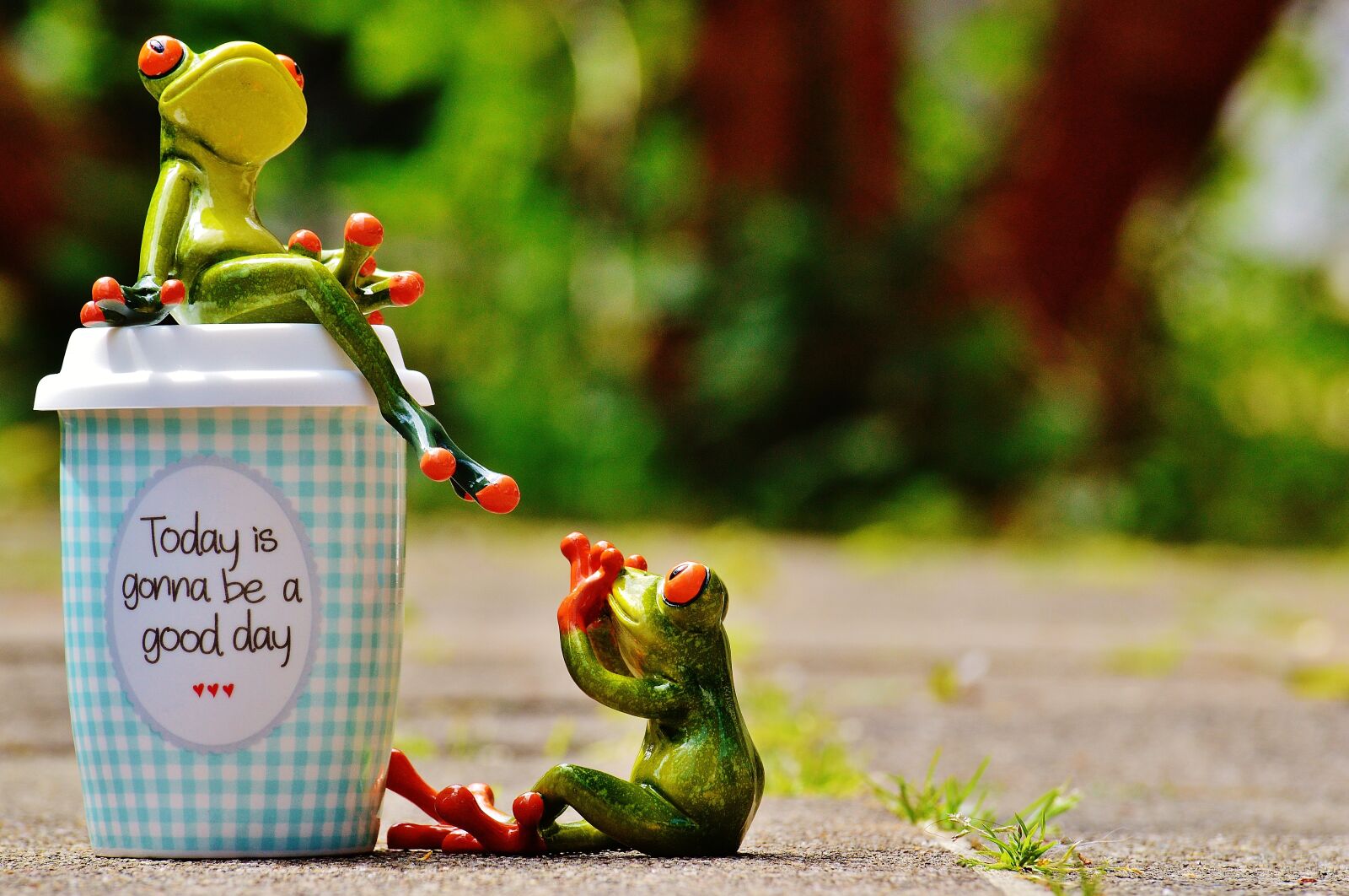 Nikon D3200 sample photo. Beautiful day, joy, frog photography