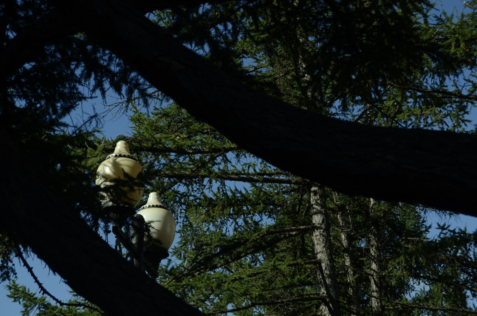 Nikon D5100 sample photo
