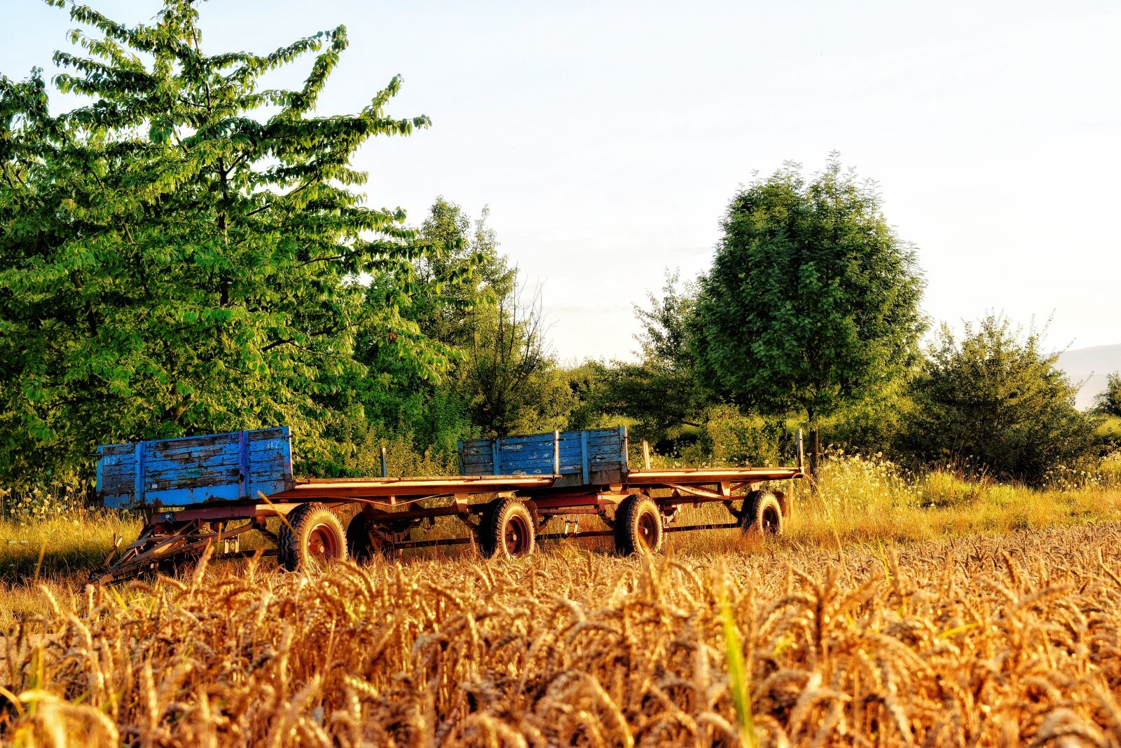 Nikon D3300 sample photo. Dare, trailers, cereals photography
