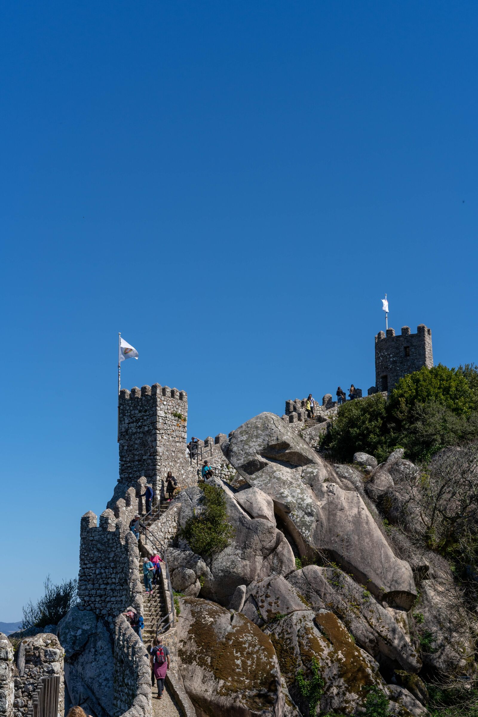 Sony a7 III + Sony Sonnar T* FE 55mm F1.8 ZA sample photo. Sintra, portugal, castle photography