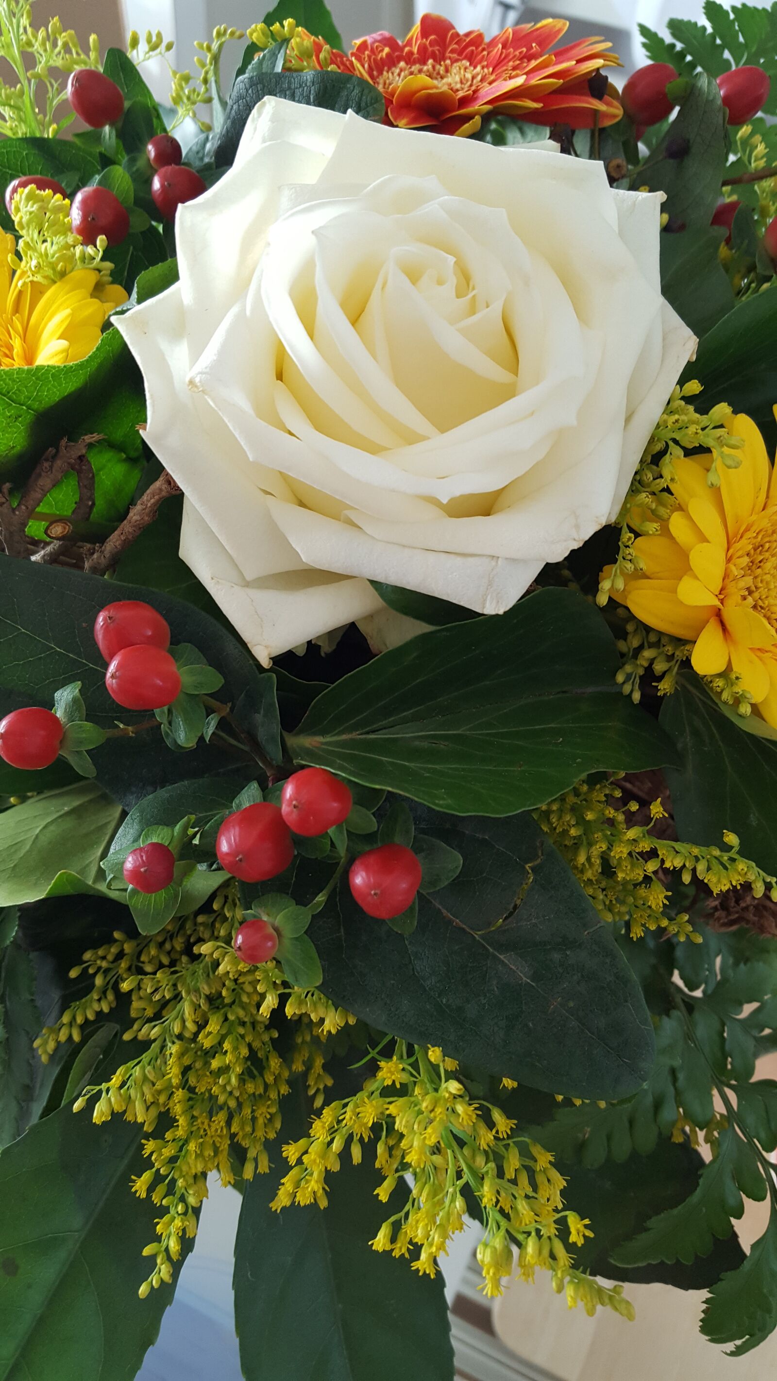 Samsung Galaxy S6 sample photo. Flower, rose, nature photography