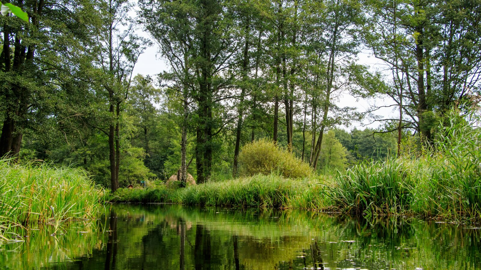 Canon EOS 80D sample photo. Spreewald, channels, depth photography