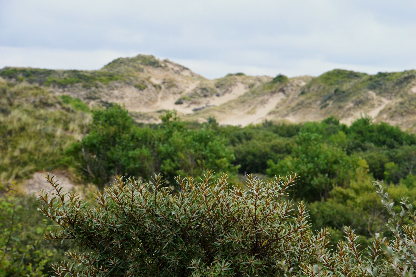 Nikon D3200 sample photo. Sea, beach, stella beach photography