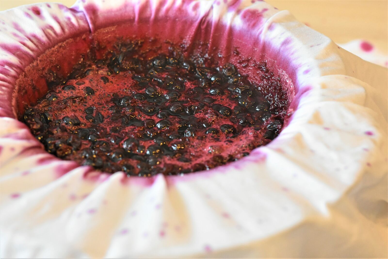 Nikon D7200 sample photo. Currants, cassis, drain photography