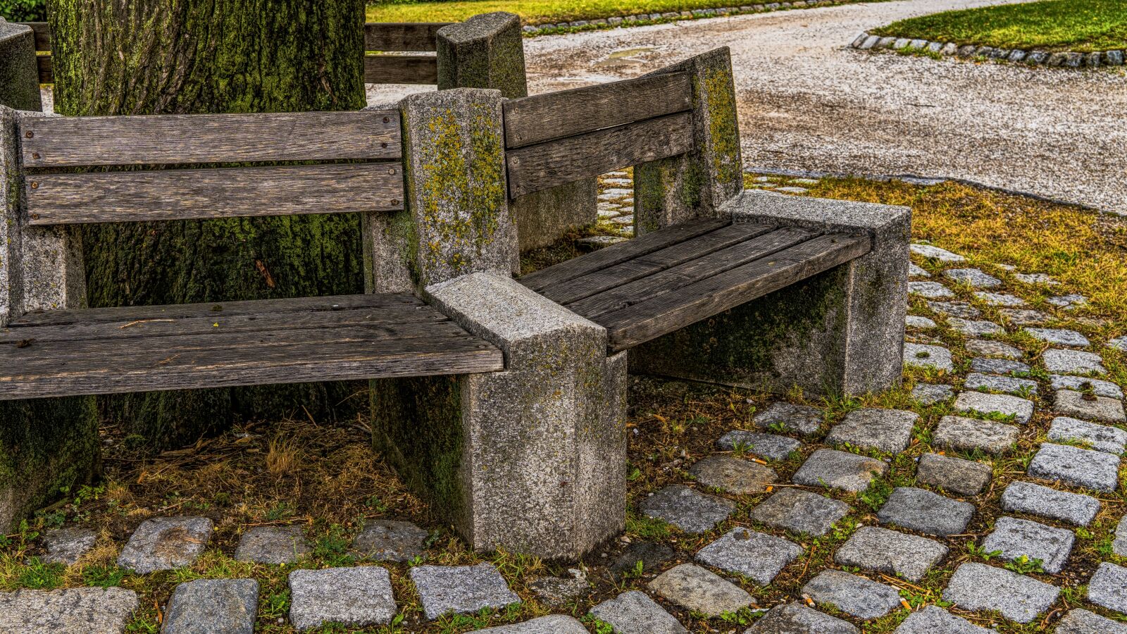 Sony a6300 + Sigma 30mm F2.8 EX DN sample photo. Bank, tranquility base, rest photography