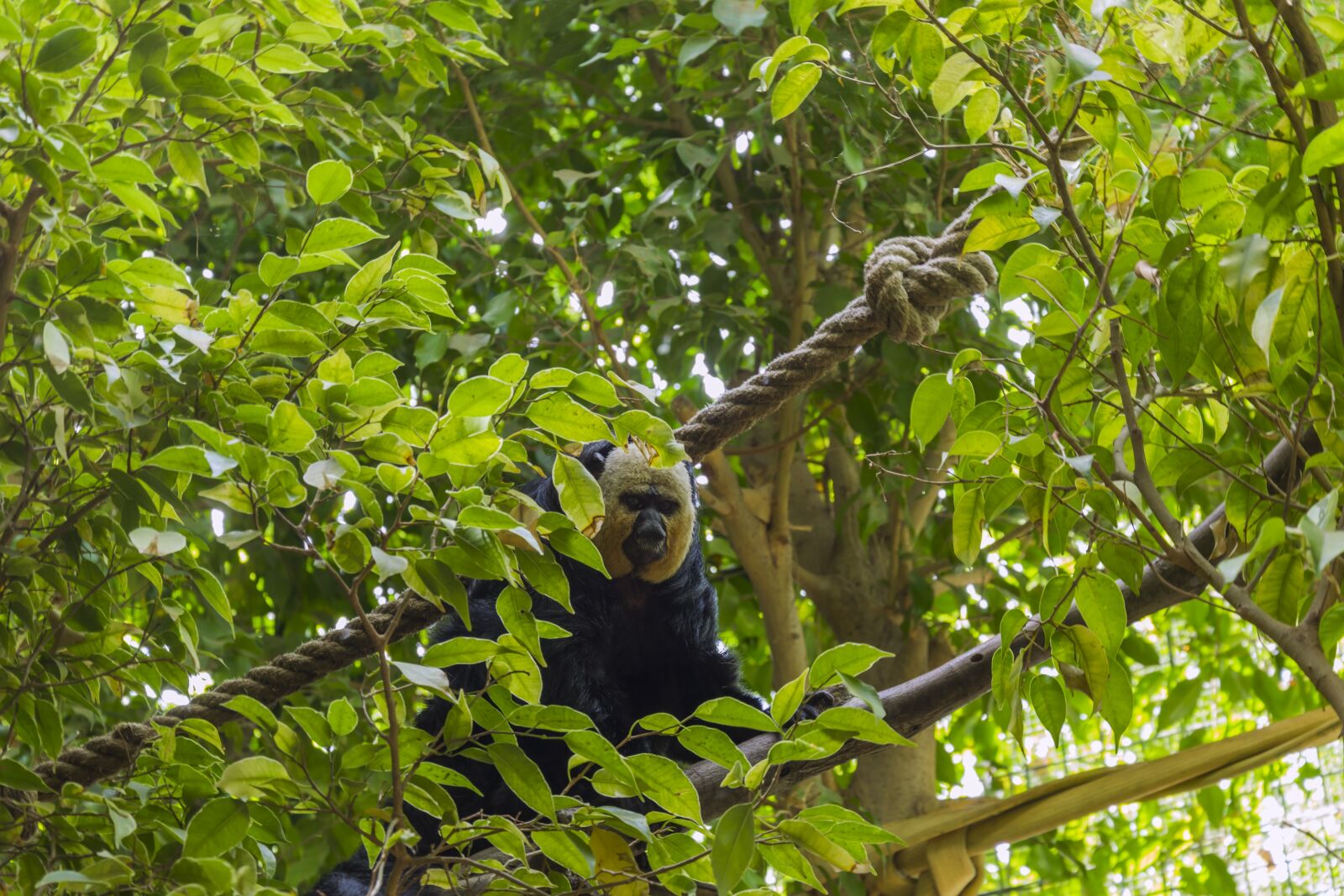 Nikon D5300 sample photo. Animal, out, nature photography