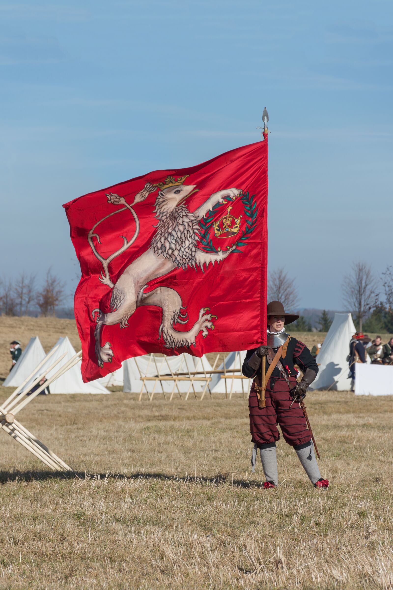 Nikon D7200 sample photo. Battle of jankau, historical photography