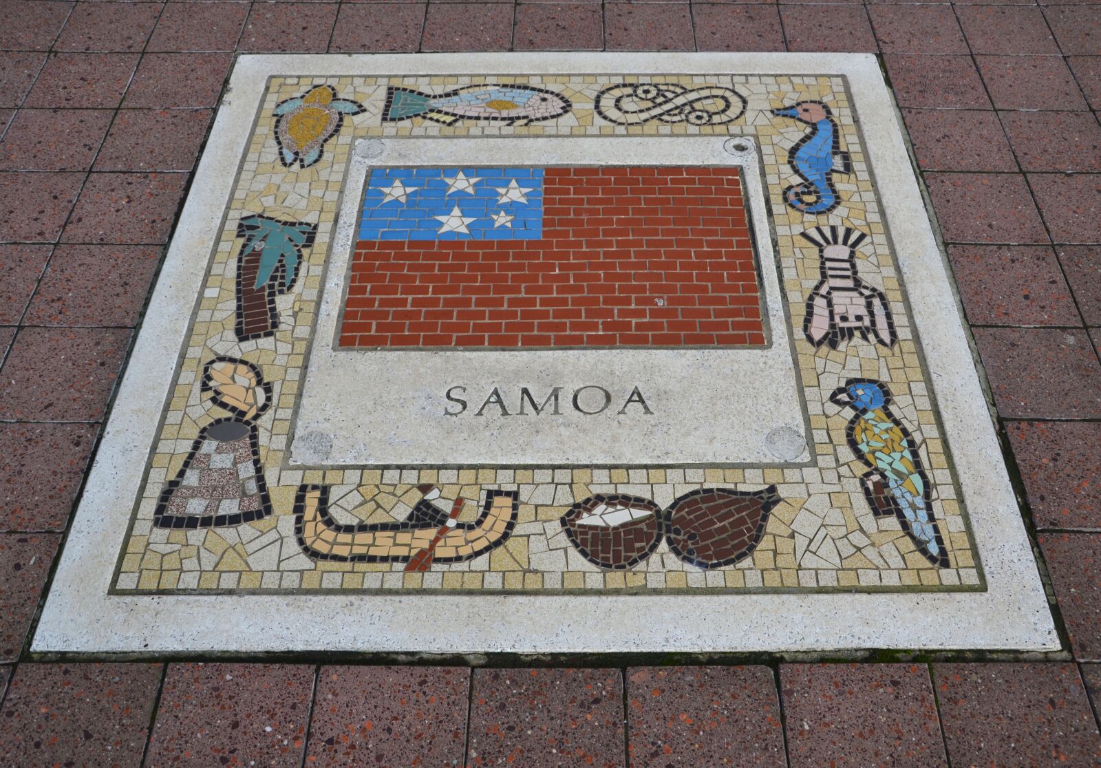 Nikon D3100 sample photo. Samoa, team emblem, flag photography