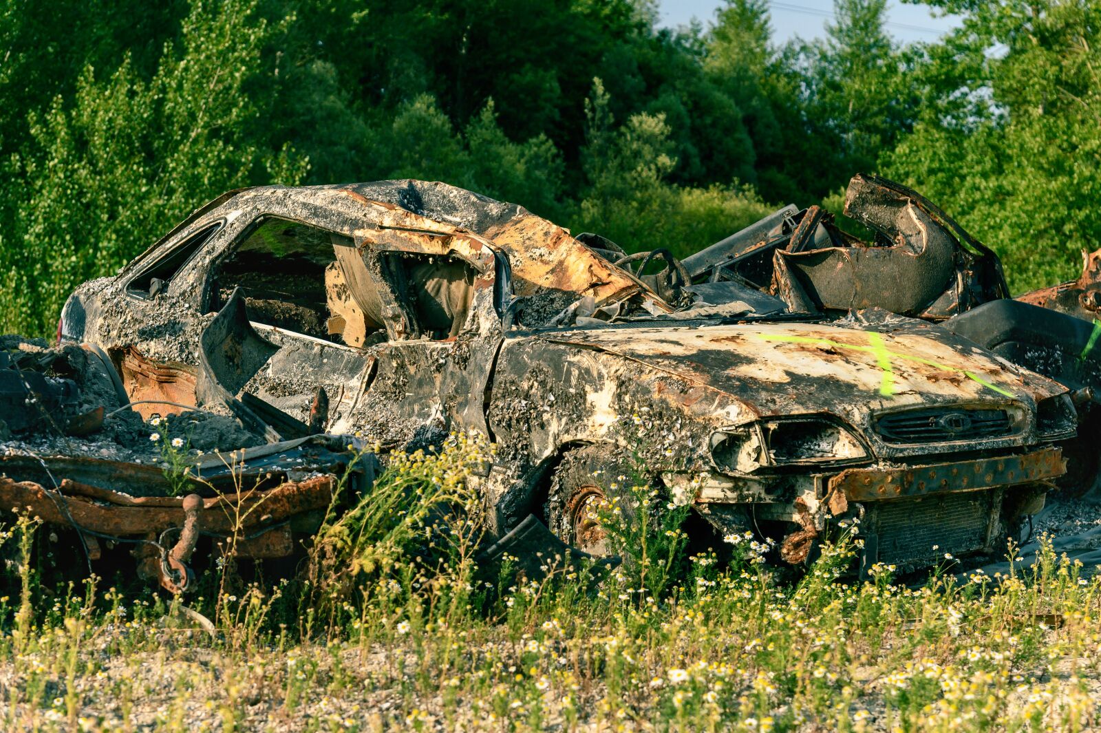 Nikon Z6 sample photo. Pkw, scrap, wreck photography