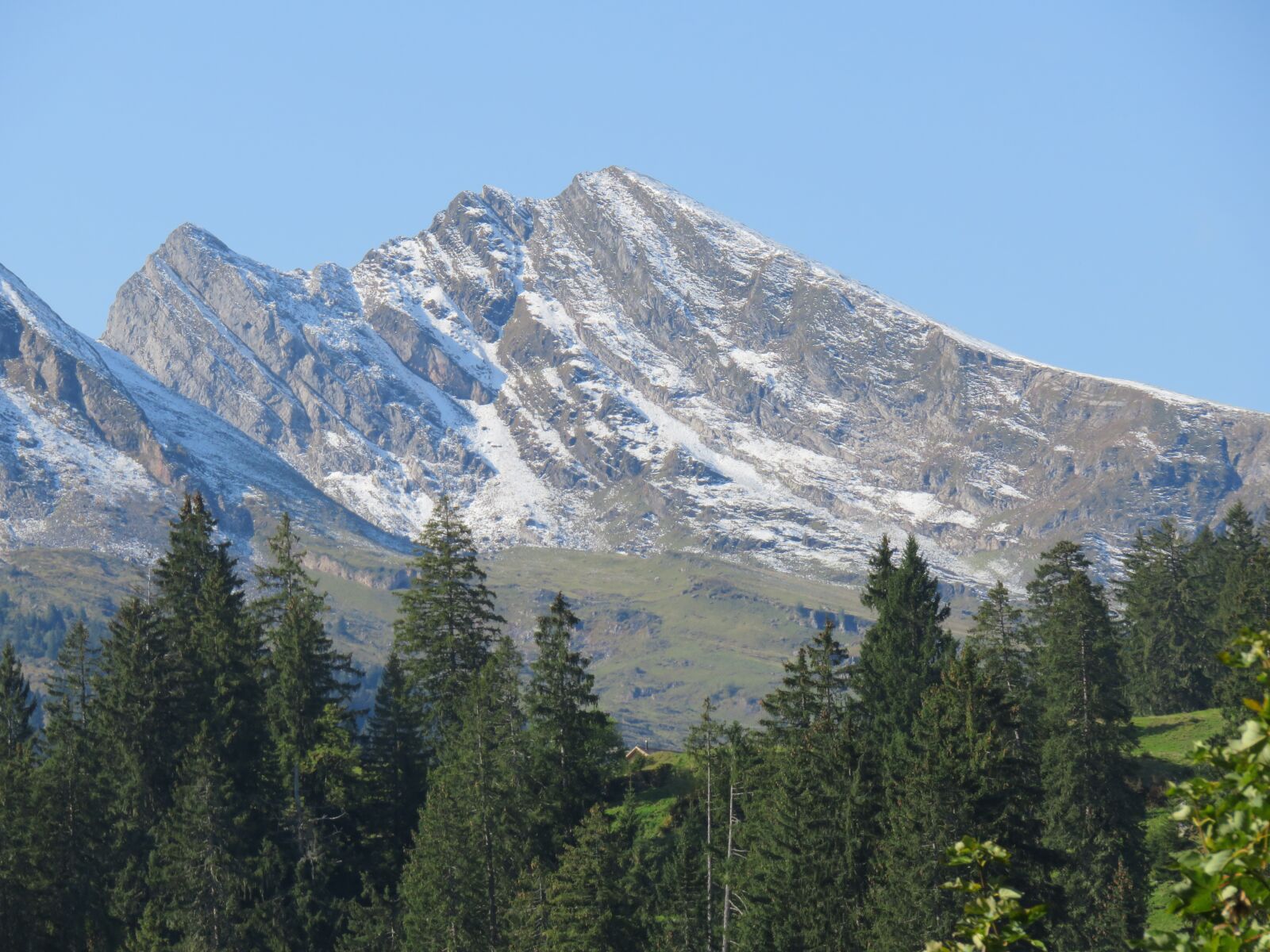 Canon PowerShot SX710 HS sample photo. Switzerland, mountains, forest photography