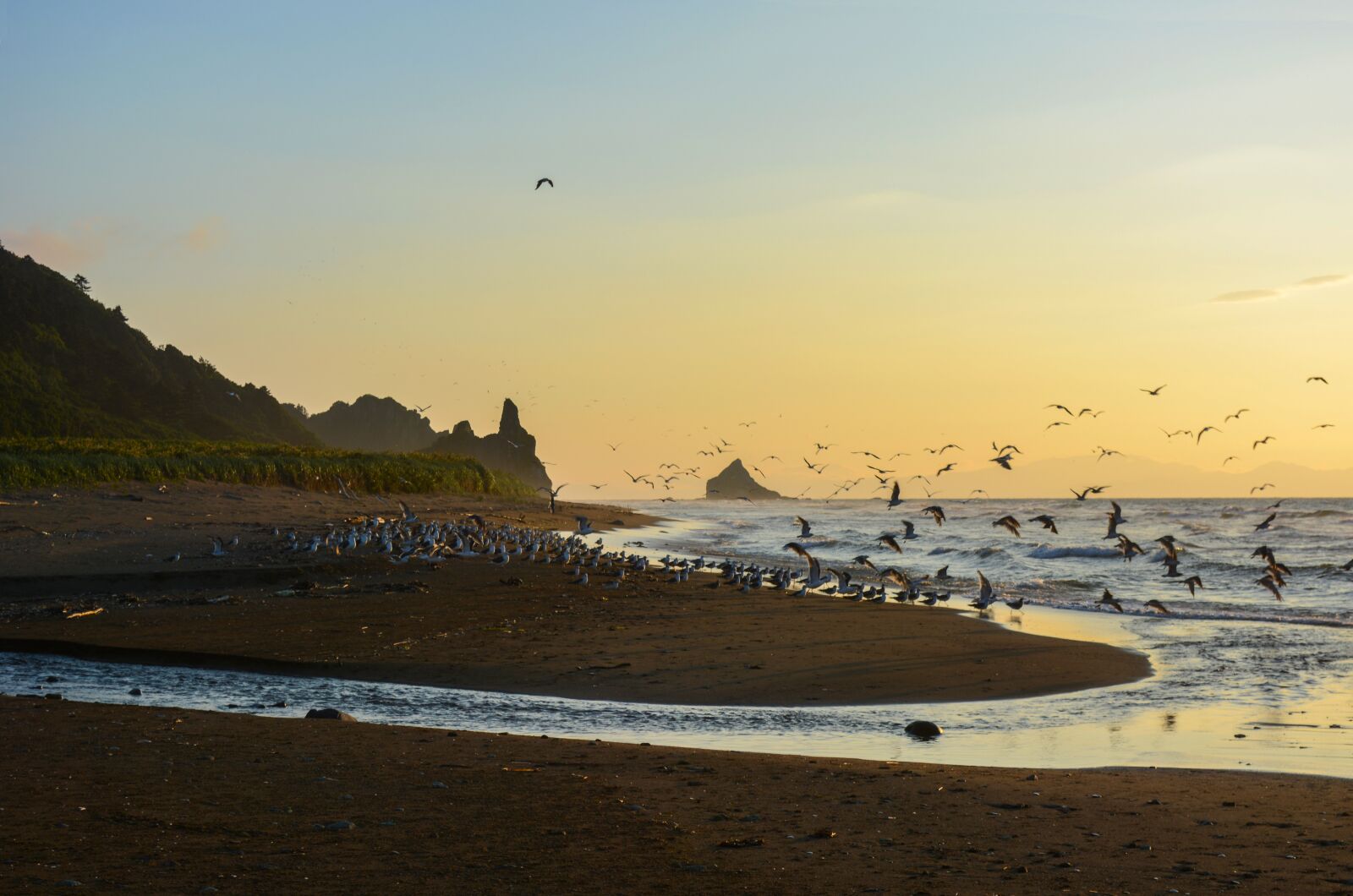 Nikon D5200 sample photo. Birds, landscape, nature photography