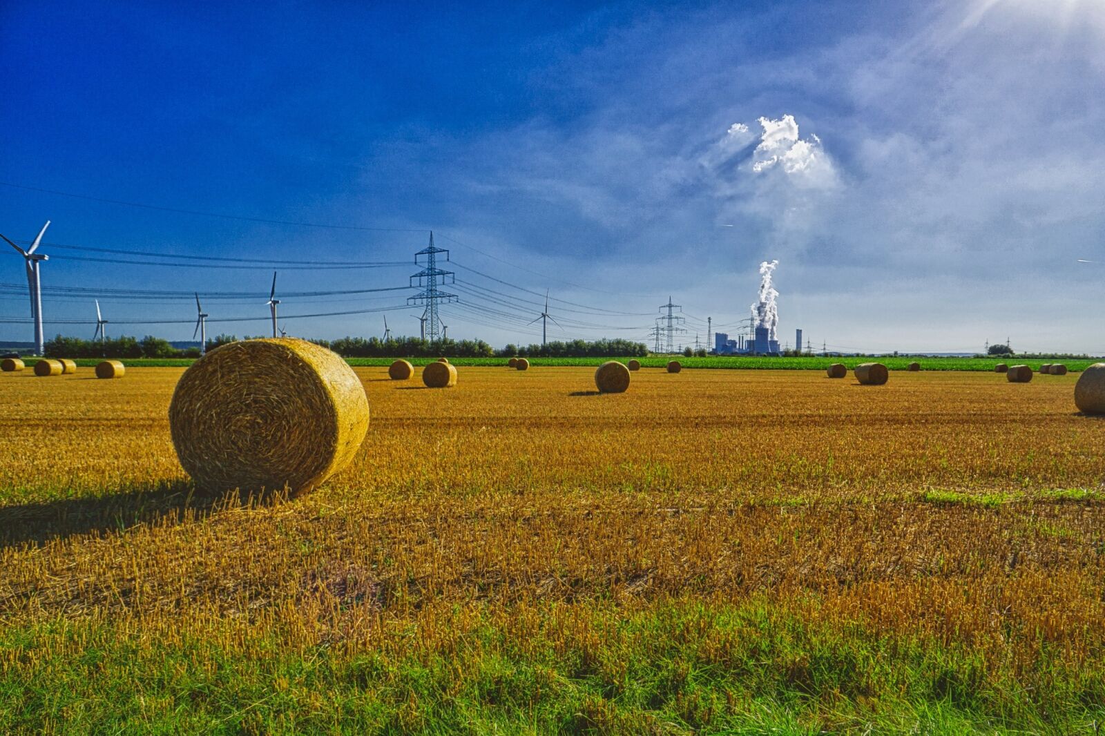 Sony a6000 + Sony E 16mm F2.8 sample photo. Autumn, straw, agriculture photography