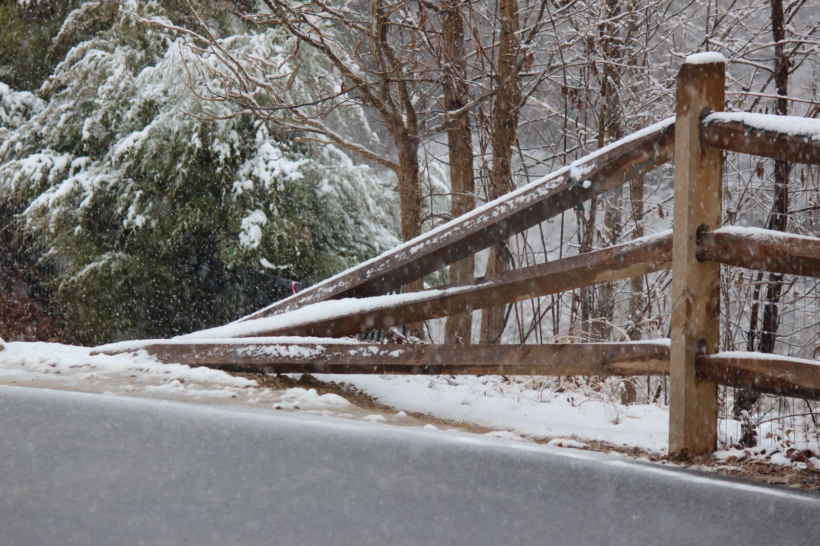 Canon EOS 600D (Rebel EOS T3i / EOS Kiss X5) sample photo. Fence, tree, snow photography