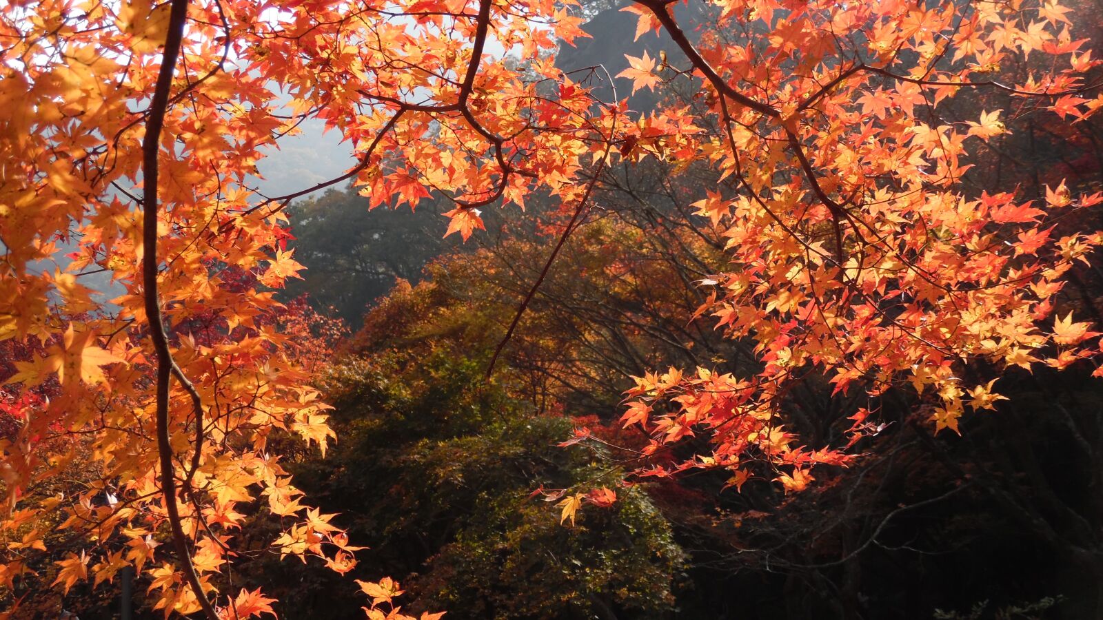 Samsung WB50F/WB51F/WB52F sample photo. Mount sanqing, my, autumn photography