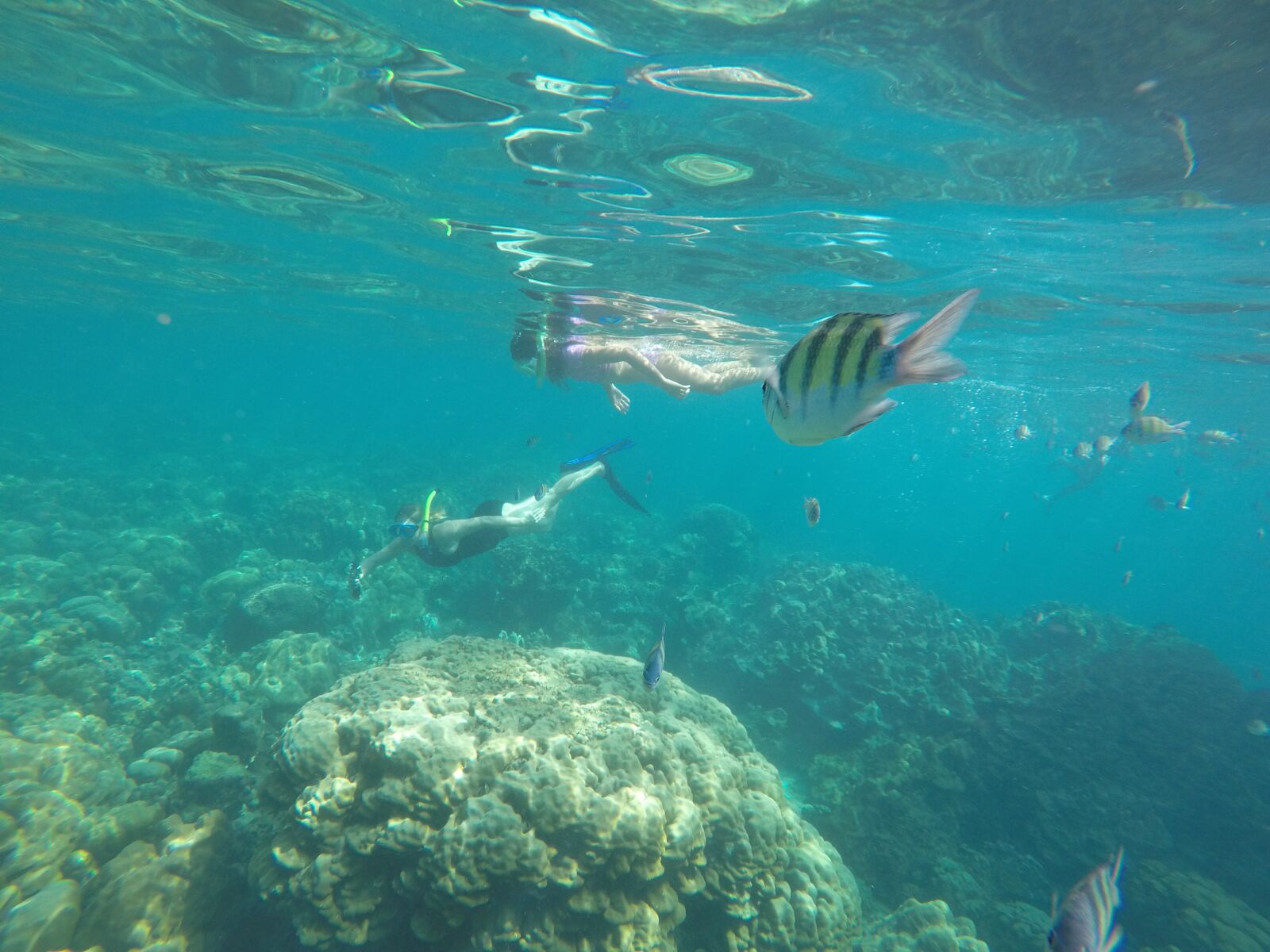 GoPro HERO4 Silver sample photo. Thailand, snorkelling, outdoor photography