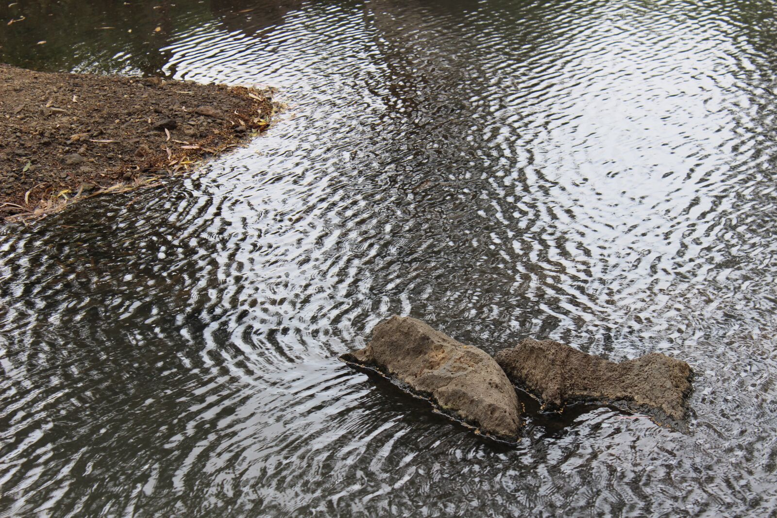 Canon EOS 600D (Rebel EOS T3i / EOS Kiss X5) sample photo. Lake, wind, stones photography