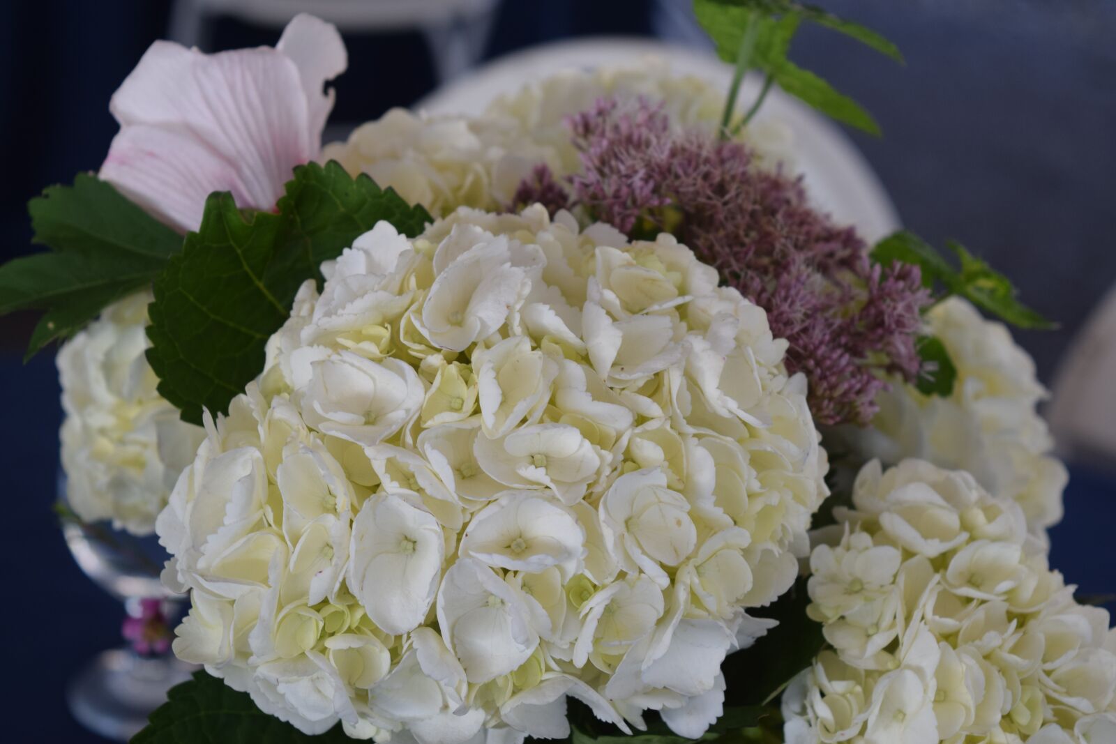 Nikon D3300 sample photo. Hydrangea, wedding flowers, white photography