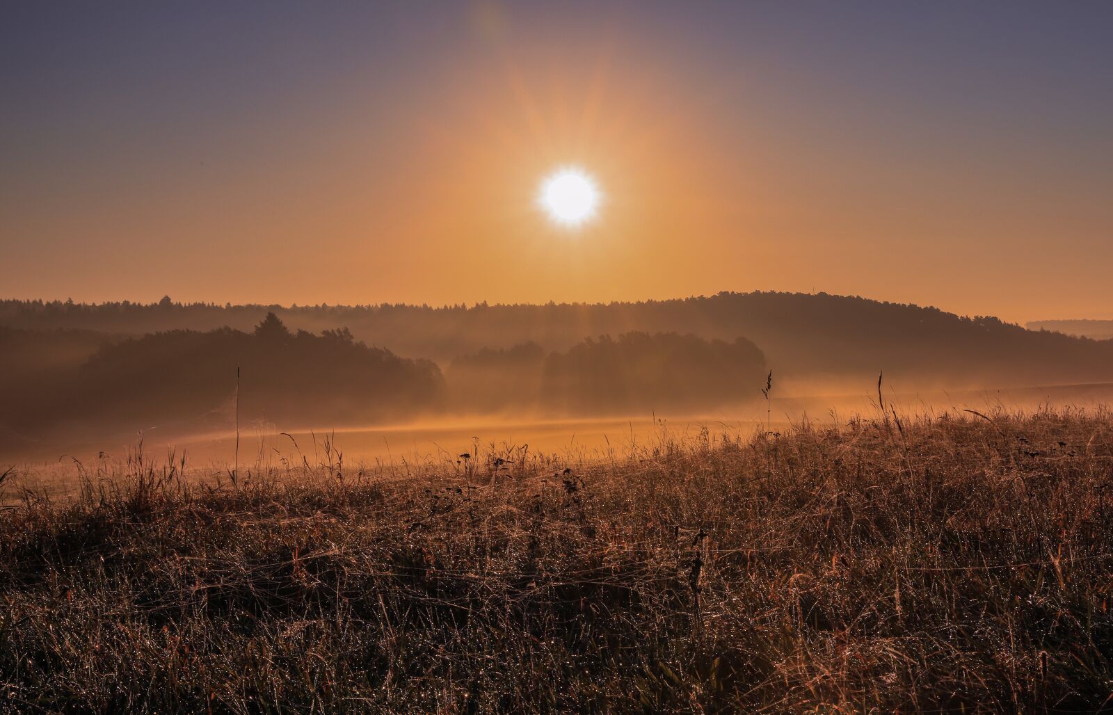 Canon EOS 5D Mark IV sample photo. Autumn landscape, sunlight, critter photography