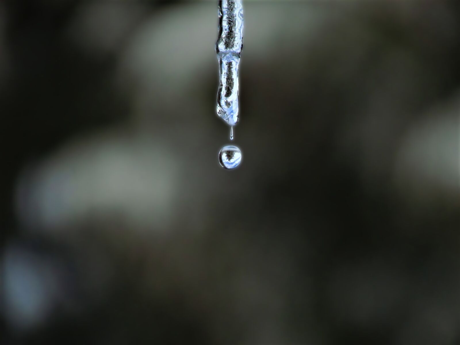 Canon PowerShot SX500 IS sample photo. Icicle dripping, dripping icicle photography