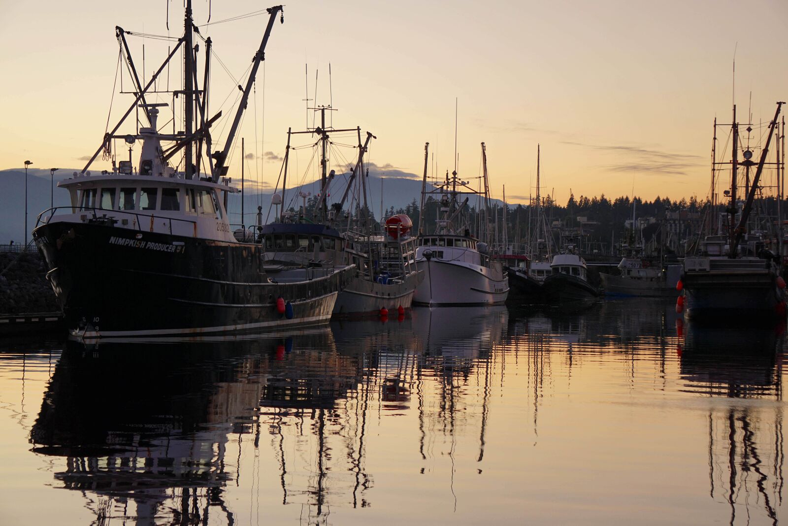Sony E 55-210mm F4.5-6.3 OSS sample photo. Comox harbor, marina, boats photography