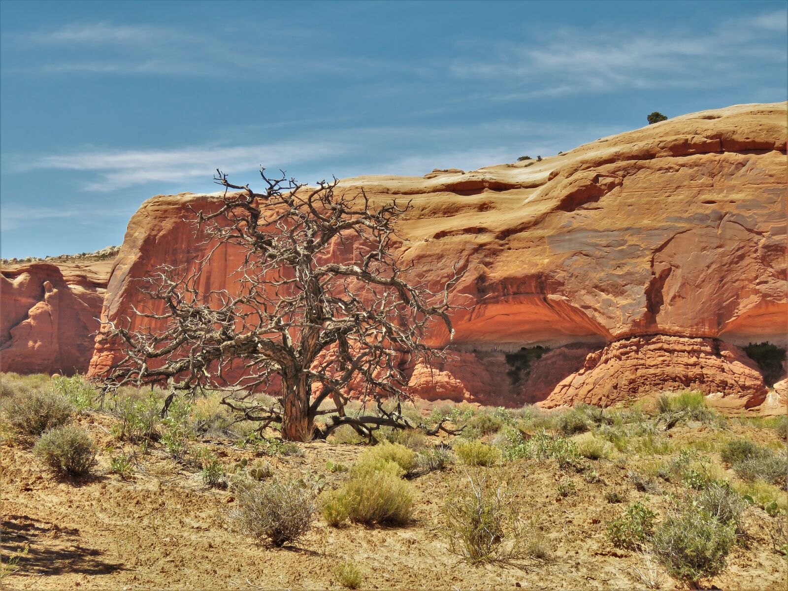Canon PowerShot SX60 HS sample photo. Utah, hiking, red sandstone photography
