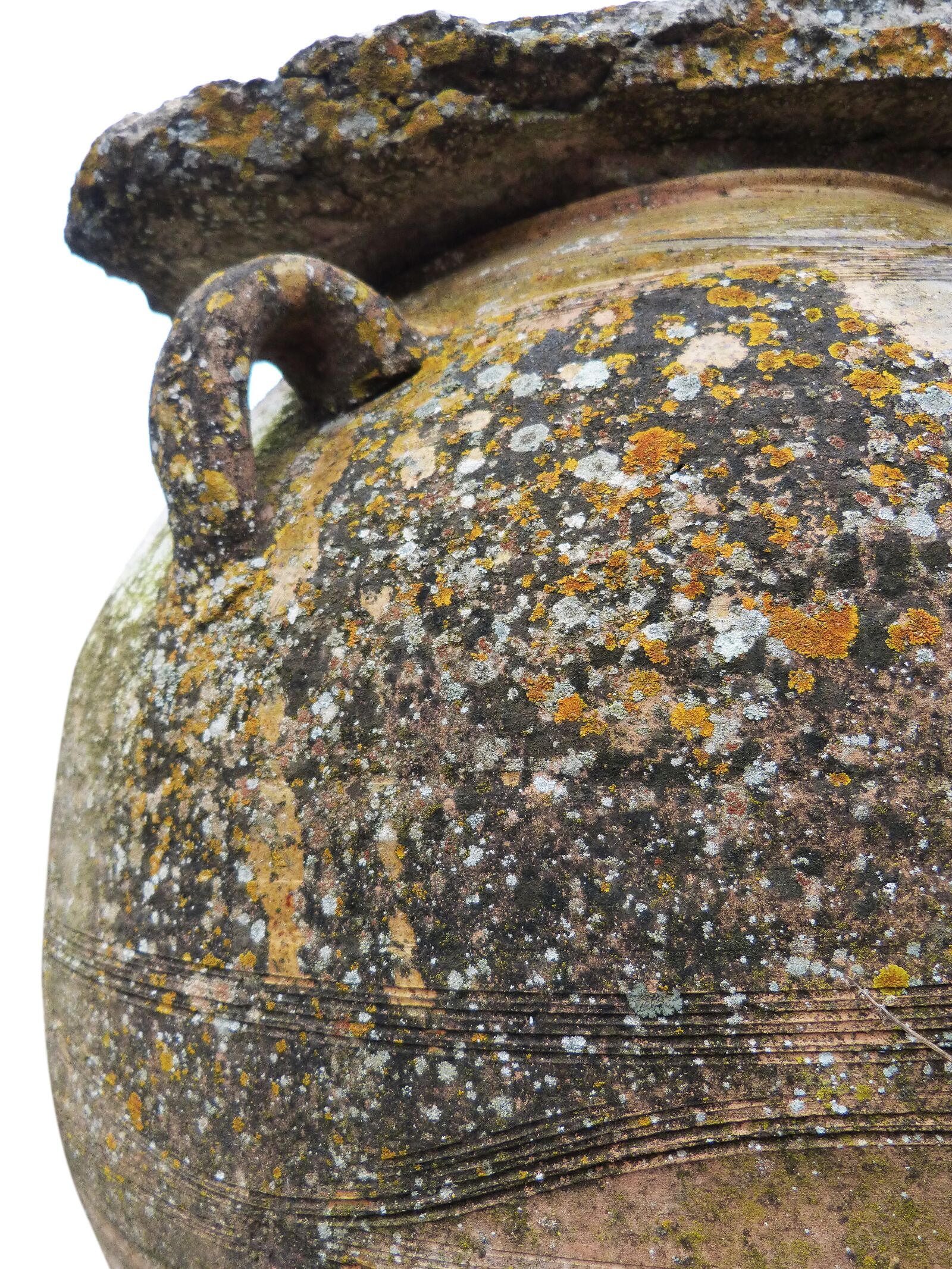 Panasonic DMC-FZ62 sample photo. Jar, ceramic, lichens photography