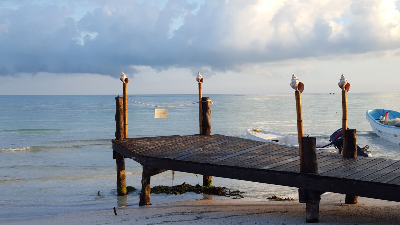 Samsung GALAXY S6 edge sample photo. Spring snail, dawn beach photography