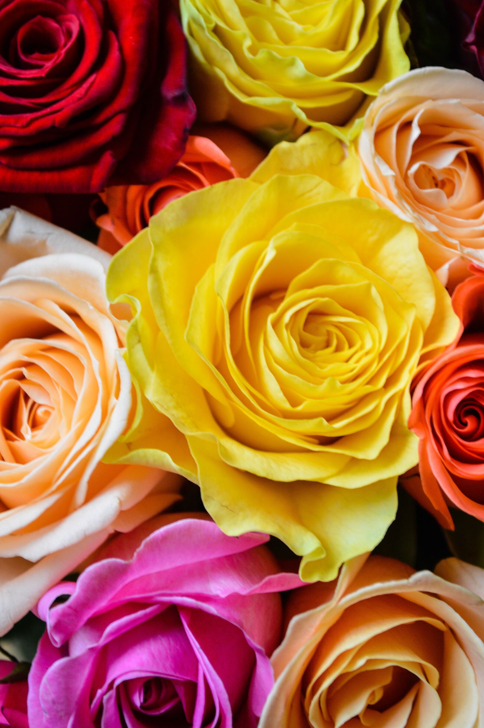 Nikon D3200 sample photo. International women's day, postcard photography