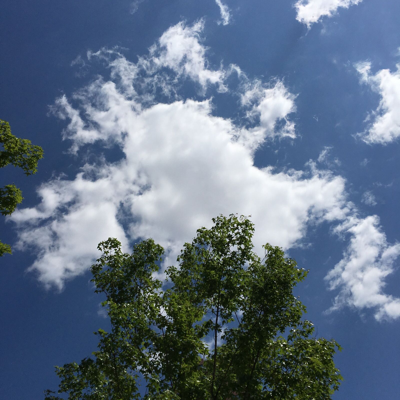 Apple iPhone 6s Plus sample photo. Blue sky and white photography