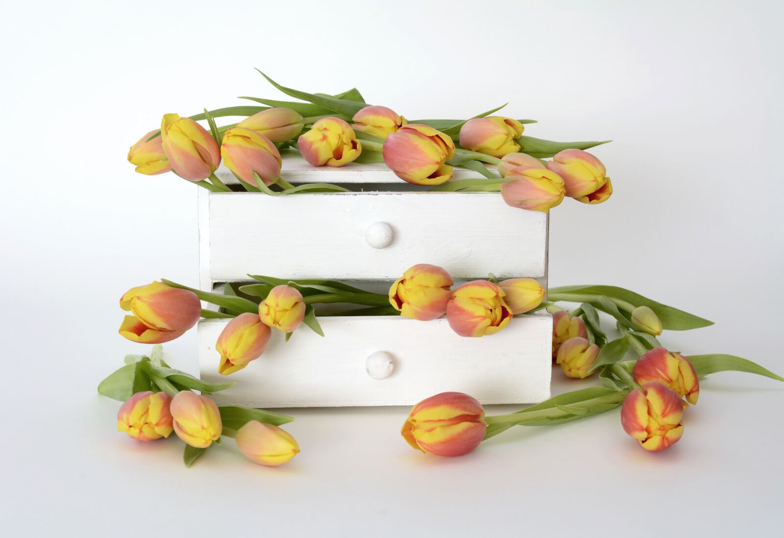 Nikon D7100 sample photo. Tulips, spring, flowers photography