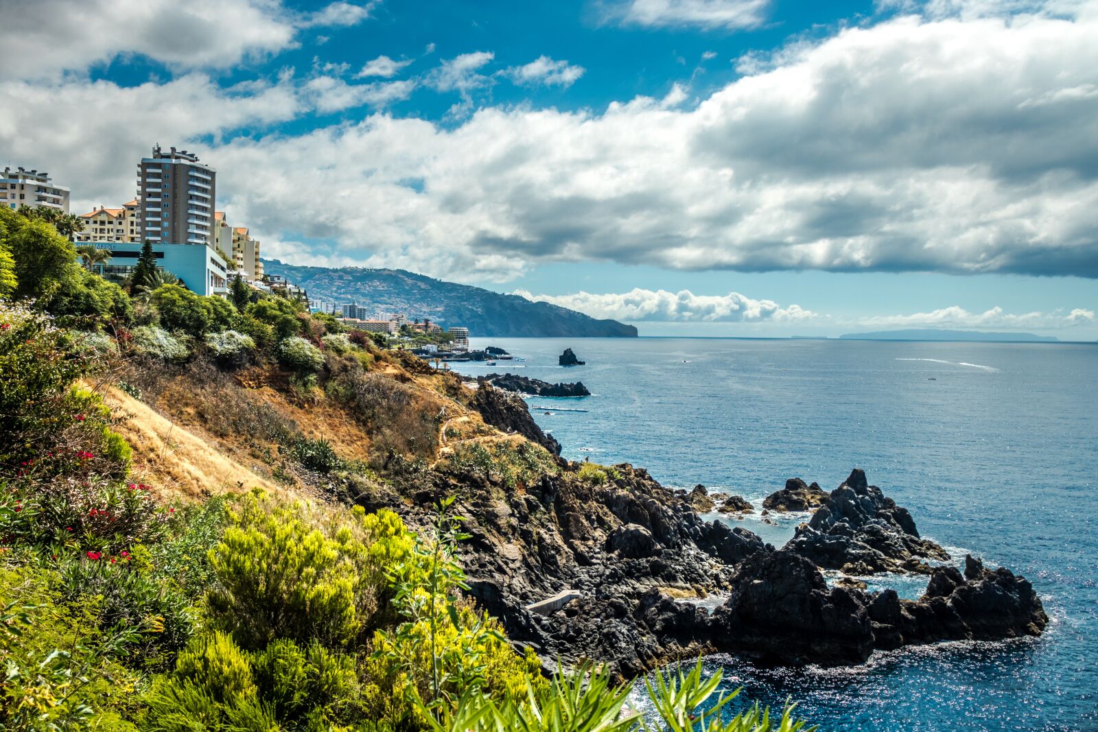 Canon EOS 200D (EOS Rebel SL2 / EOS Kiss X9) sample photo. Funchal city, wood island photography
